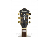 Ibanez AS73GBKF Ibanez AS73GBKF